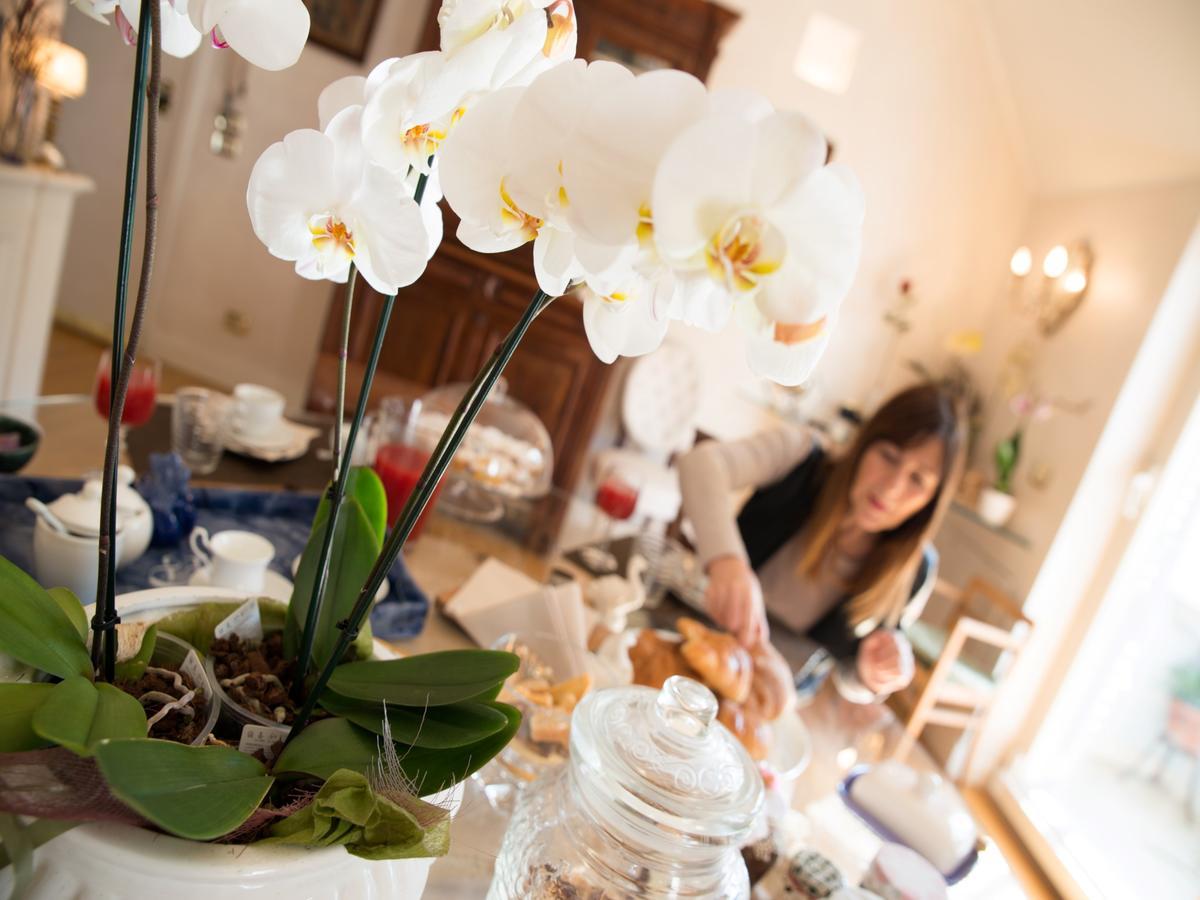 Bed and Breakfast Casa Malena Ascoli Piceno Exterior foto